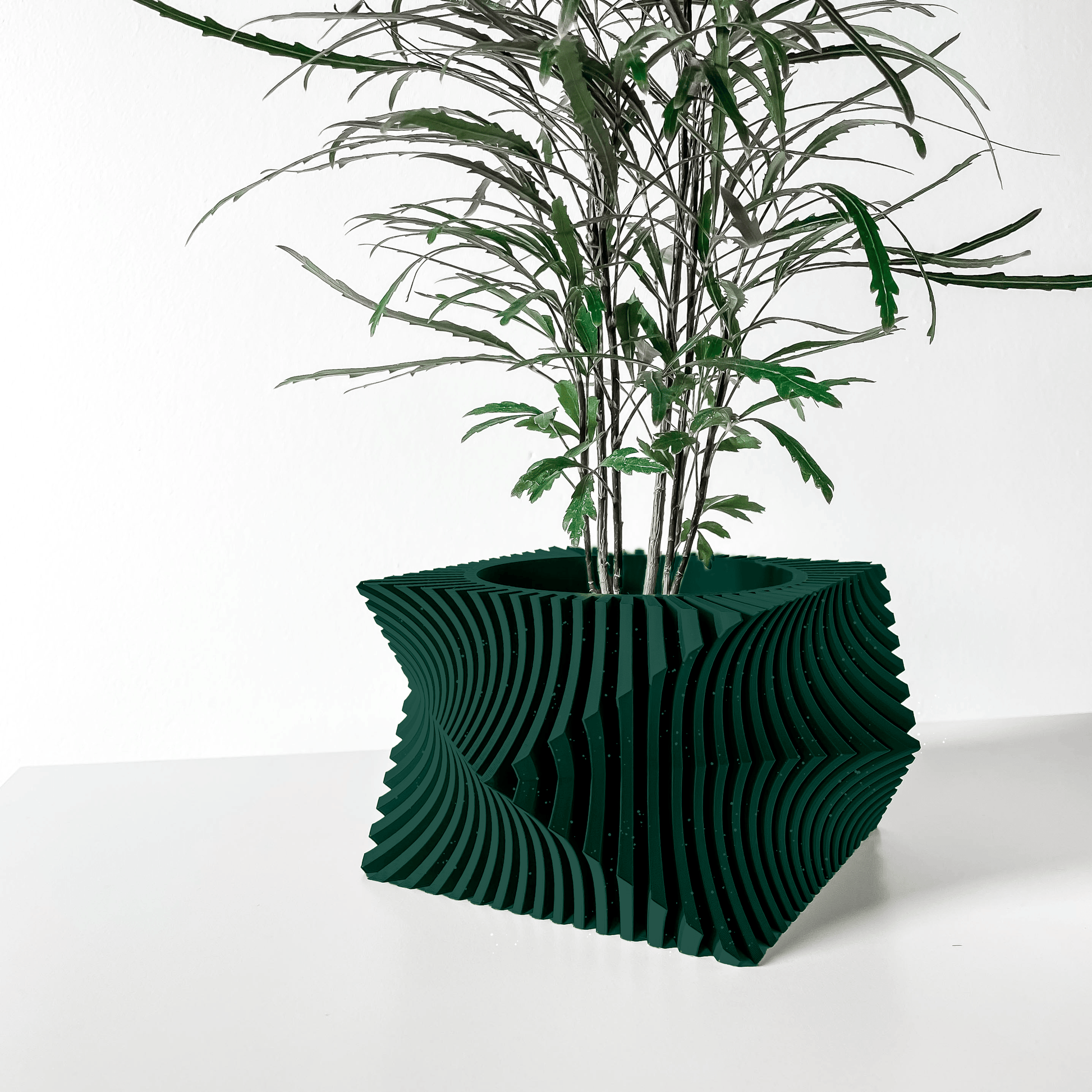 Pot Kaelis Forest Shadow