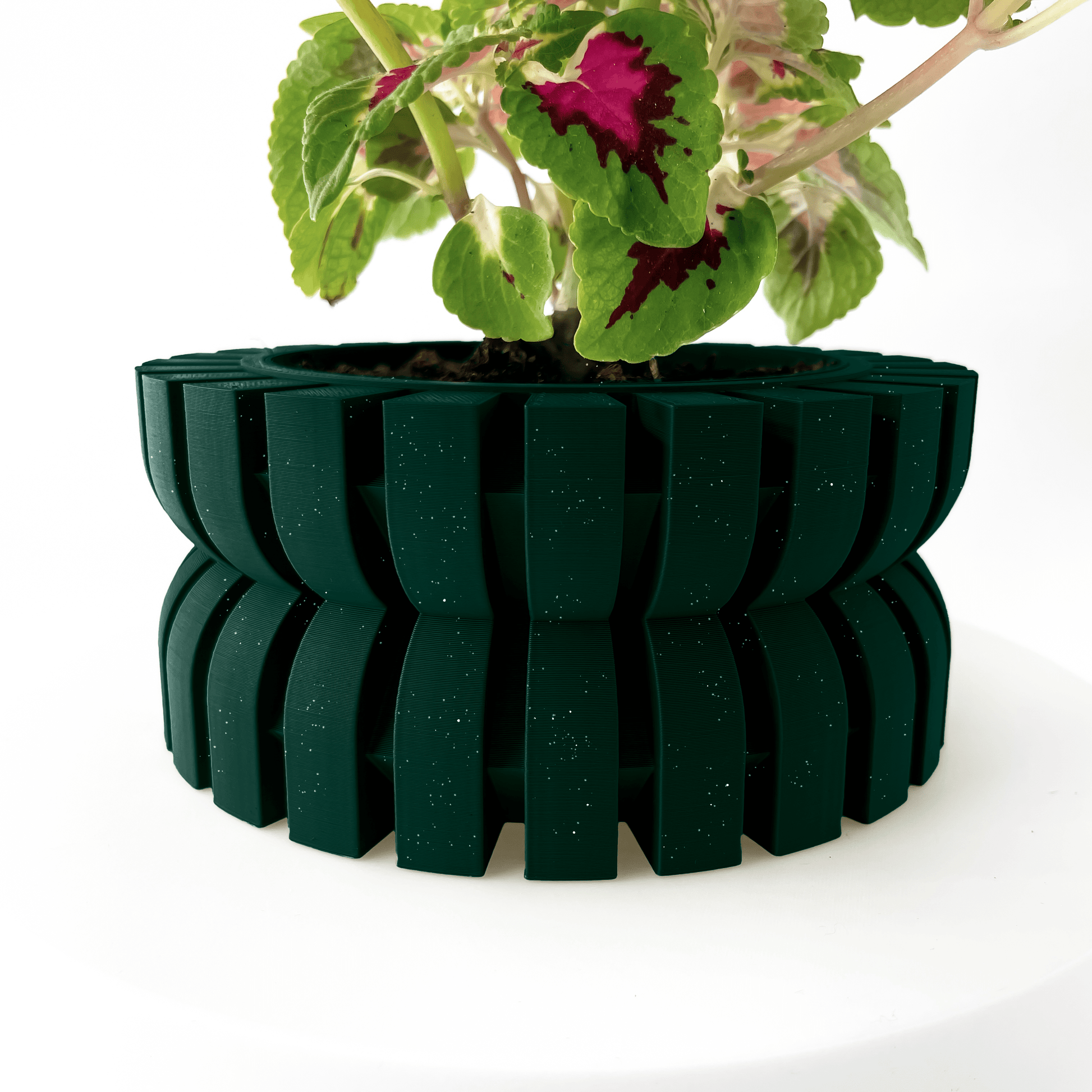 Pot Kiron Forest Shadow