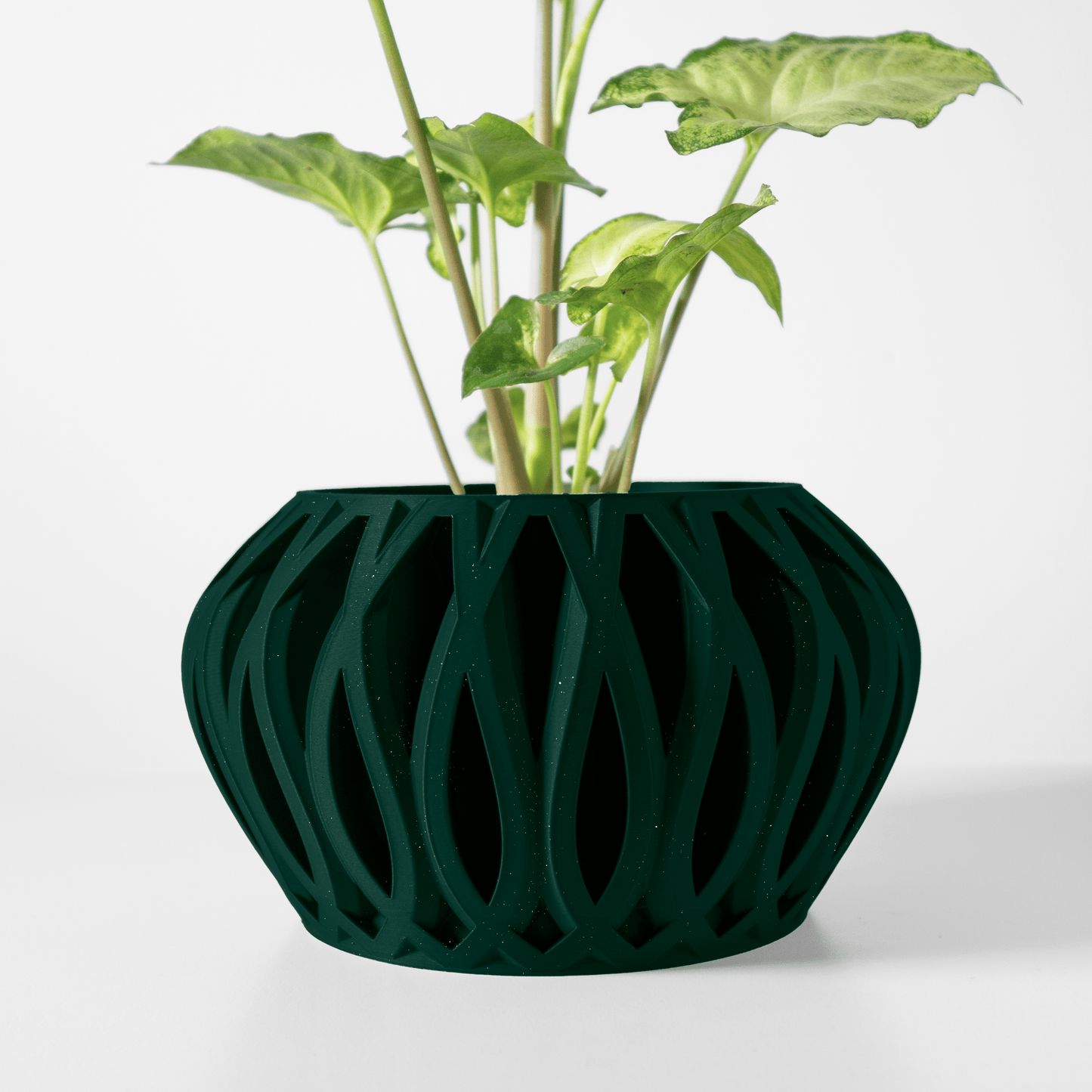 Pot Tyrax Forest Shadow