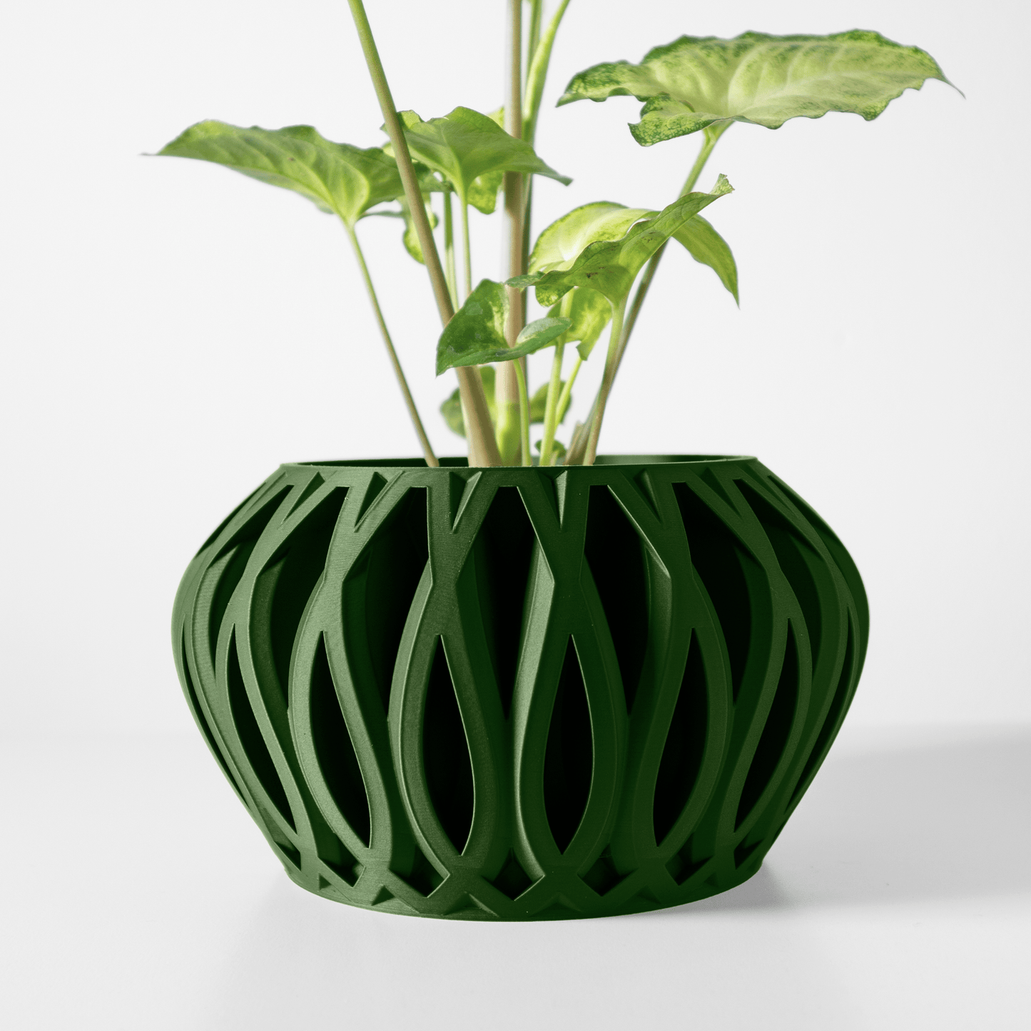 Pot Tyrax Olive Veil